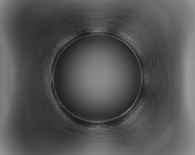 X0000094900721200712061028