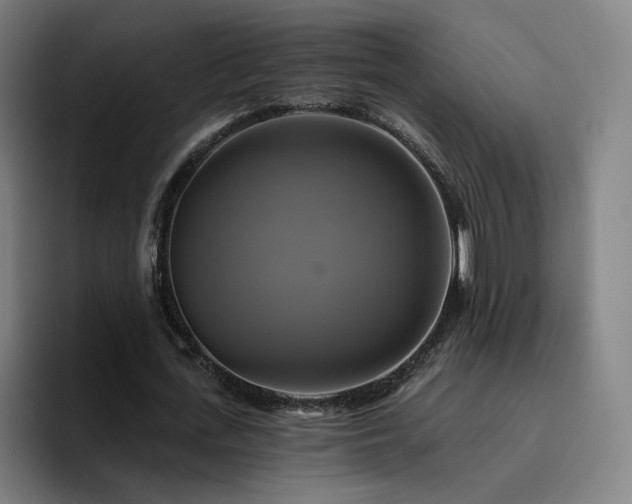 X0000094900723200712061028