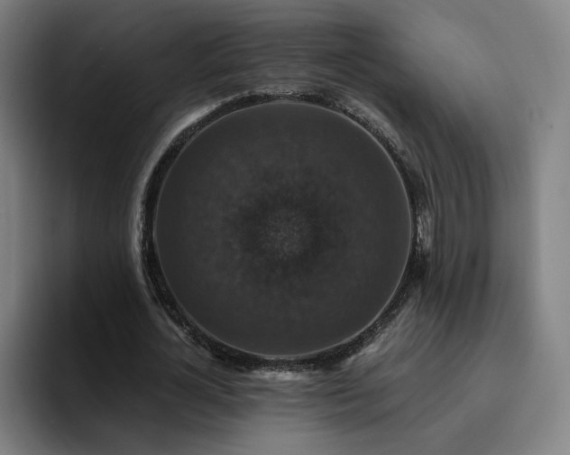 X0000094900724200712061028