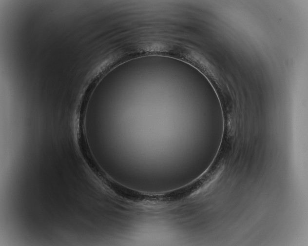 X0000094900725200712061028