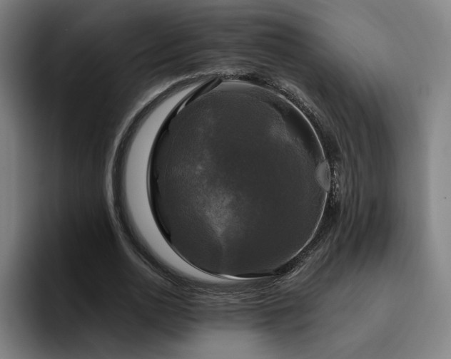 X0000094900726200712061028