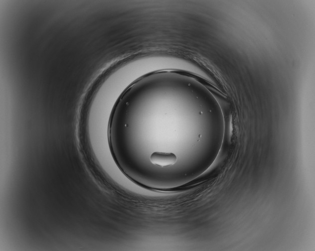 X0000094900728200712061028