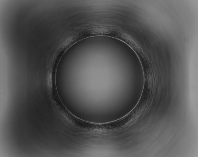 X0000094900729200712061028
