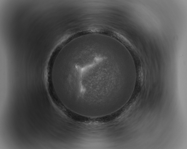 X0000094900730200712061028