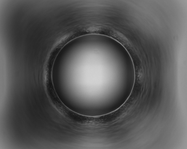 X0000094900732200712061028