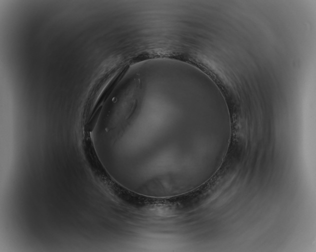 X0000094900738200712061028