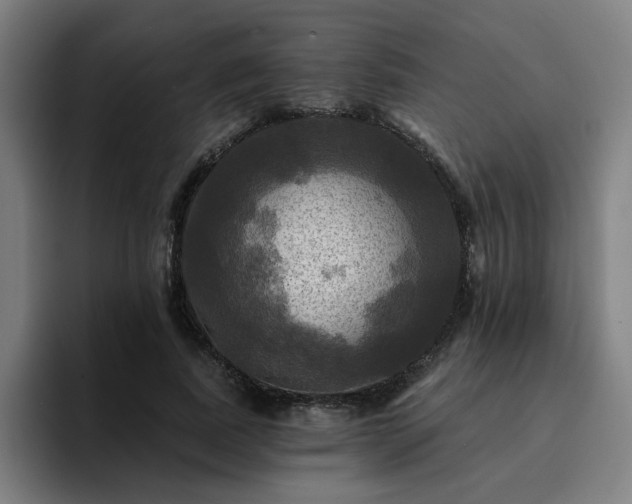 X0000094900739200712061028