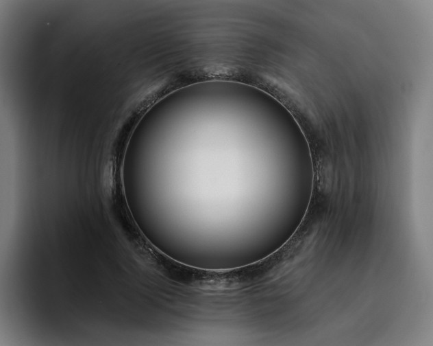 X0000094900740200712061028