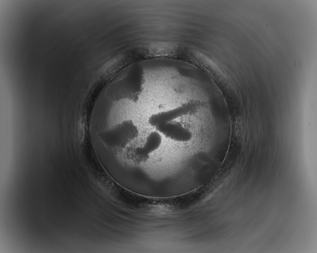 X0000094900741200712061028