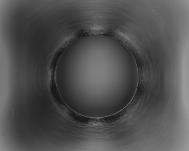 X0000094900742200712061028