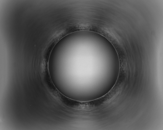 X0000094900744200712061028