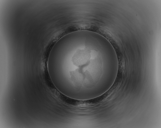 X0000094900746200712061028