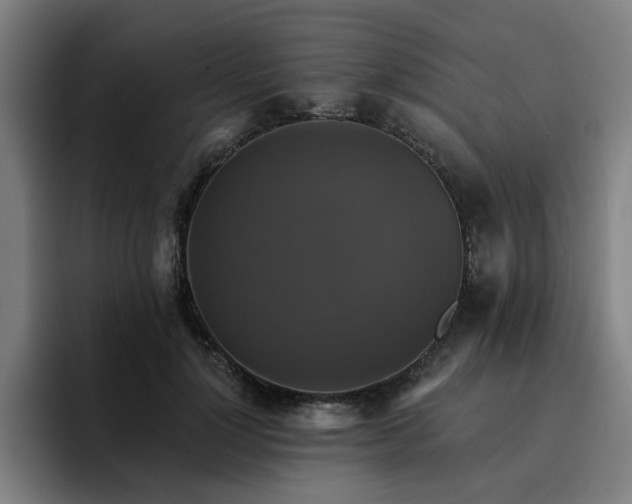X0000094900748200712061028