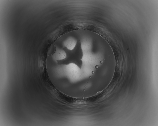 X0000094900749200712061028