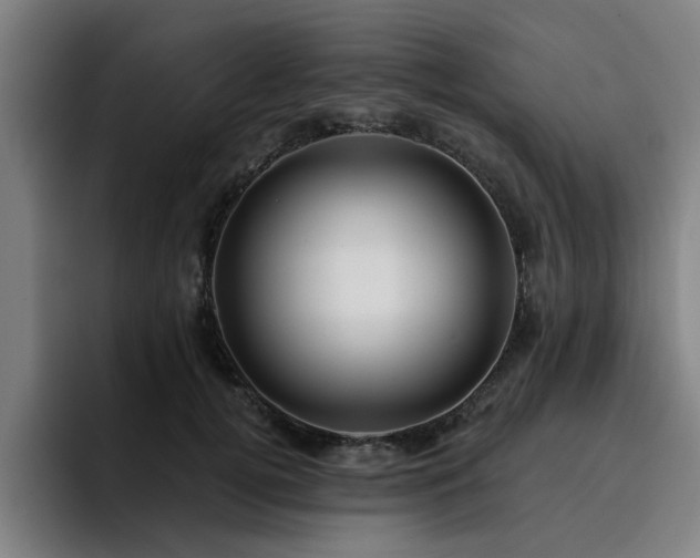X0000094900752200712061028