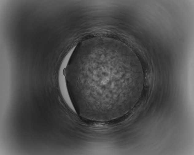 X0000094900753200712061028