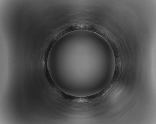 X0000094900754200712061028