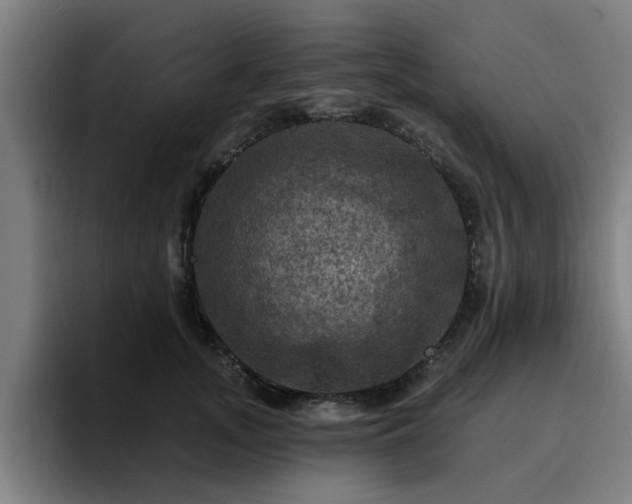 X0000094900755200712061028