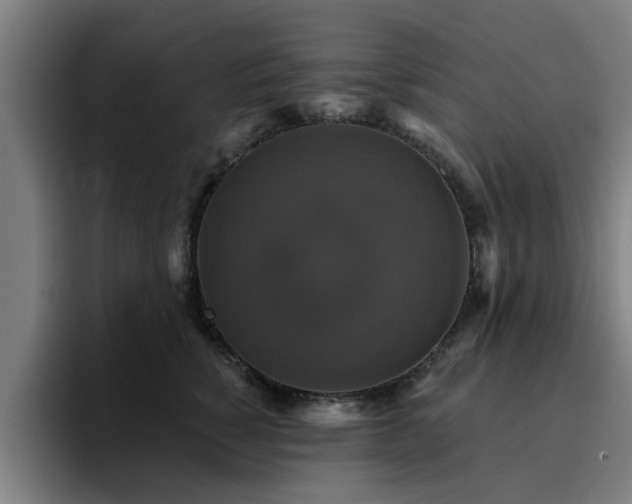 X0000094900760200712061028