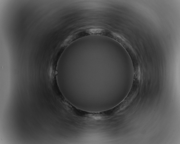 X0000094900763200712061028