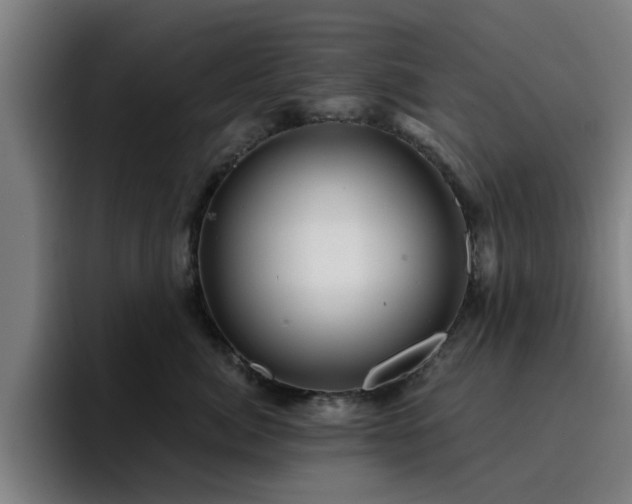 X0000094900764200712061028