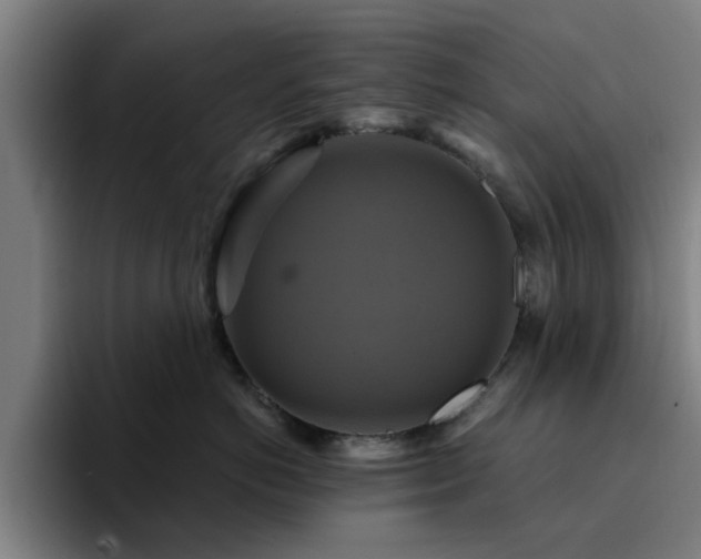 X0000094900766200712061028