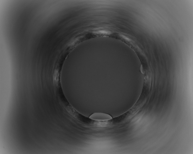 X0000094900767200712061028