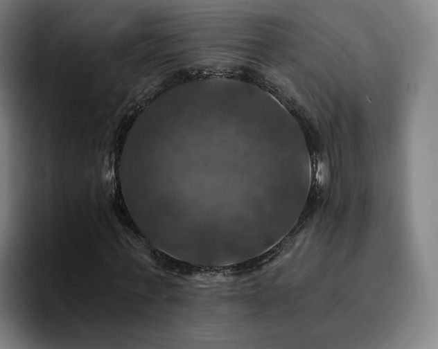 X0000094900771200712061028