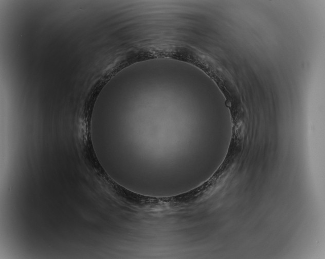 X0000094900772200712061028