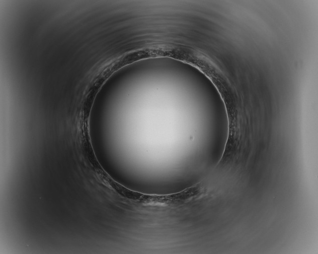 X0000094900773200712061028