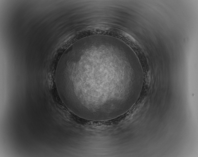 X0000094900774200712061028
