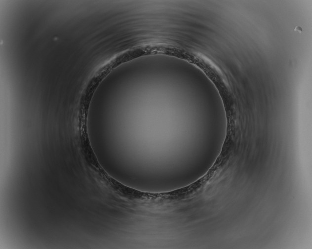 X0000094900775200712061028