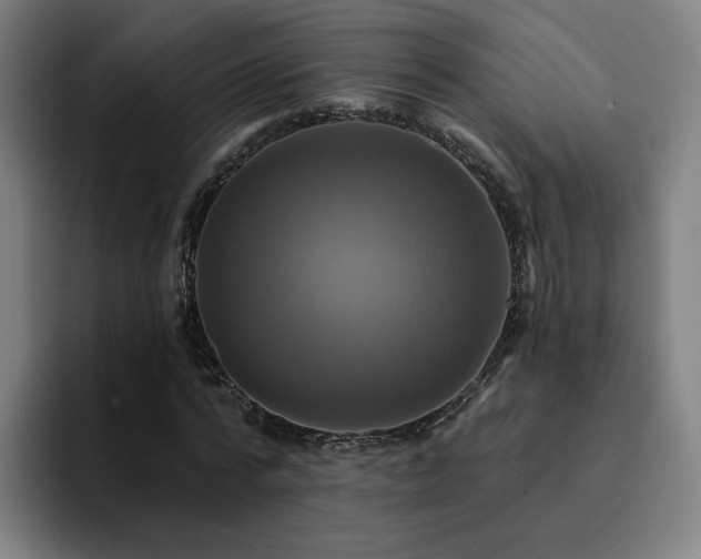 X0000094900776200712061028