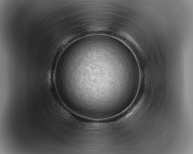 X0000094900777200712061028