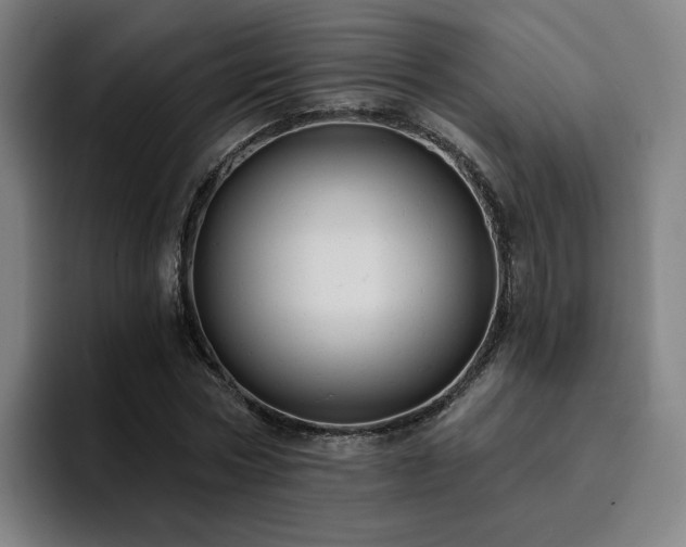 X0000094900778200712061028