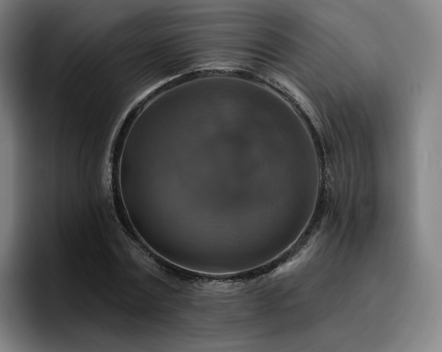 X0000094900779200712061028