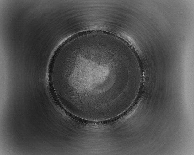 X0000094900780200712061028
