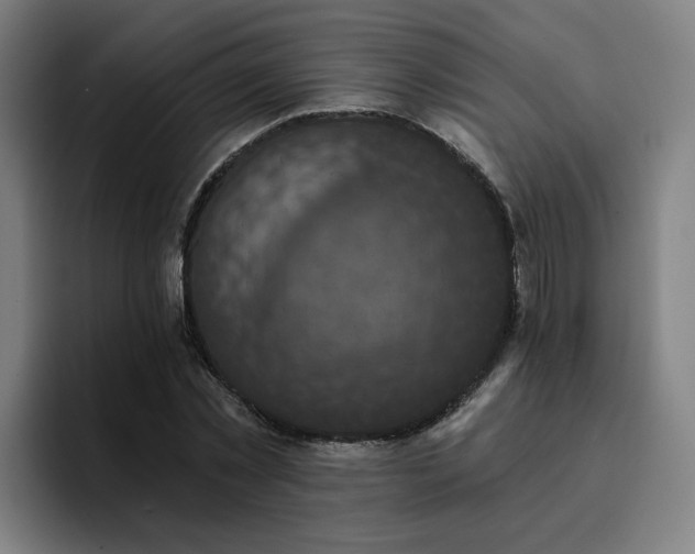 X0000094900781200712061027