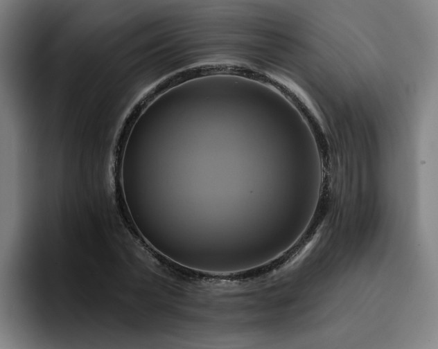 X0000094900783200712061027