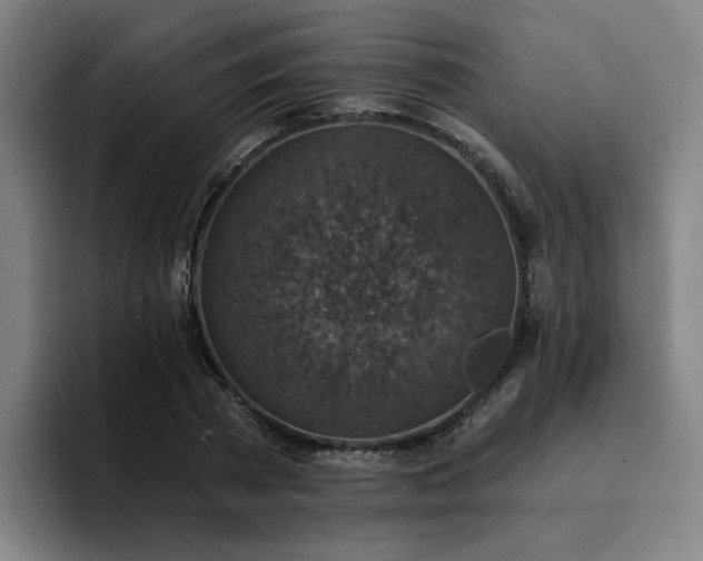 X0000094900785200712061027