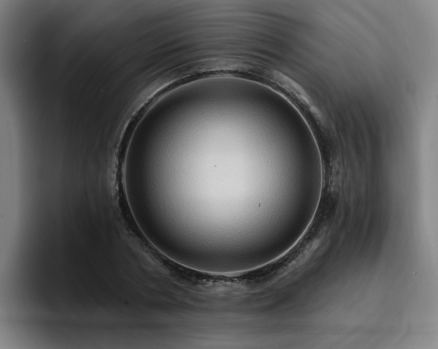 X0000094900786200712061027