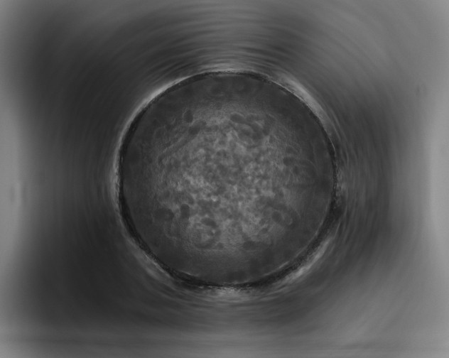 X0000094900787200712061027