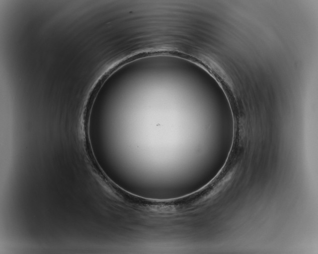 X0000094900789200712061027