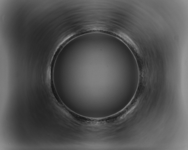 X0000094900790200712061027