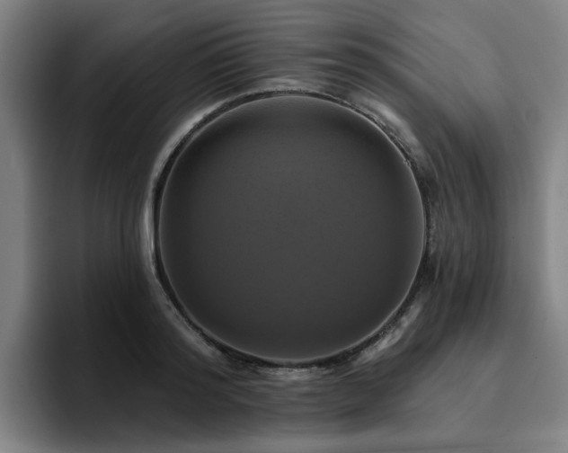 X0000094900796200712061027