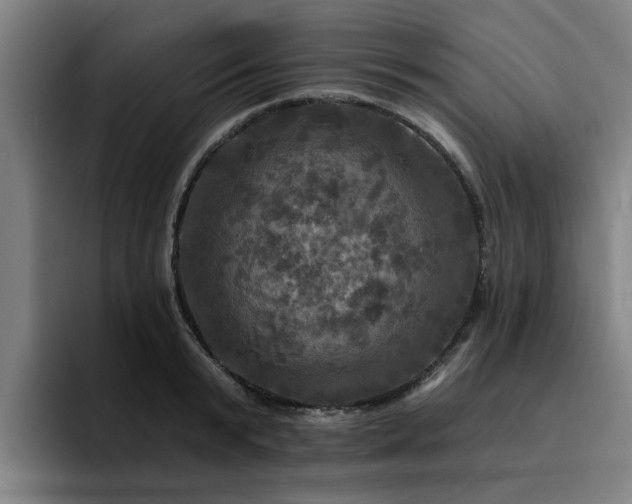 X0000094900799200712061027