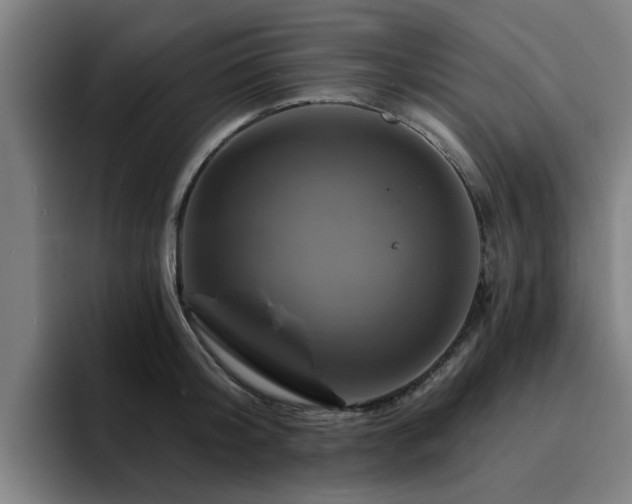 X0000094900804200712061027