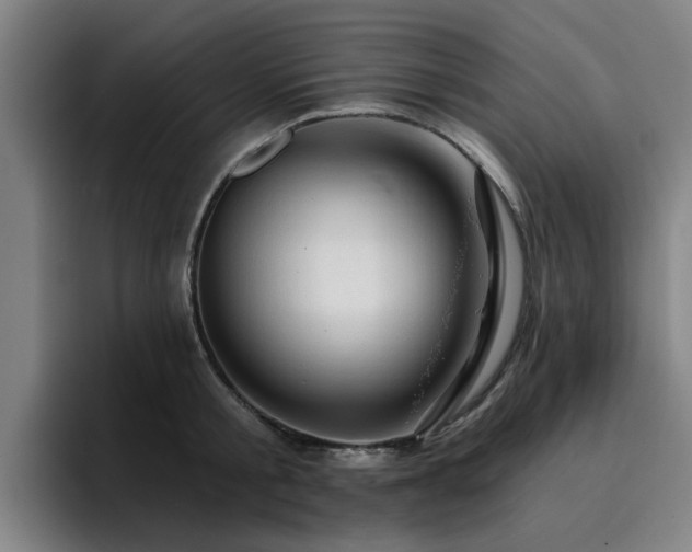 X0000094900805200712061027