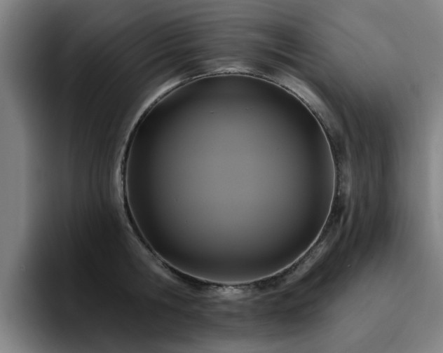 X0000094900806200712061027