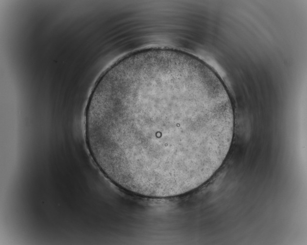 X0000094900807200712061027